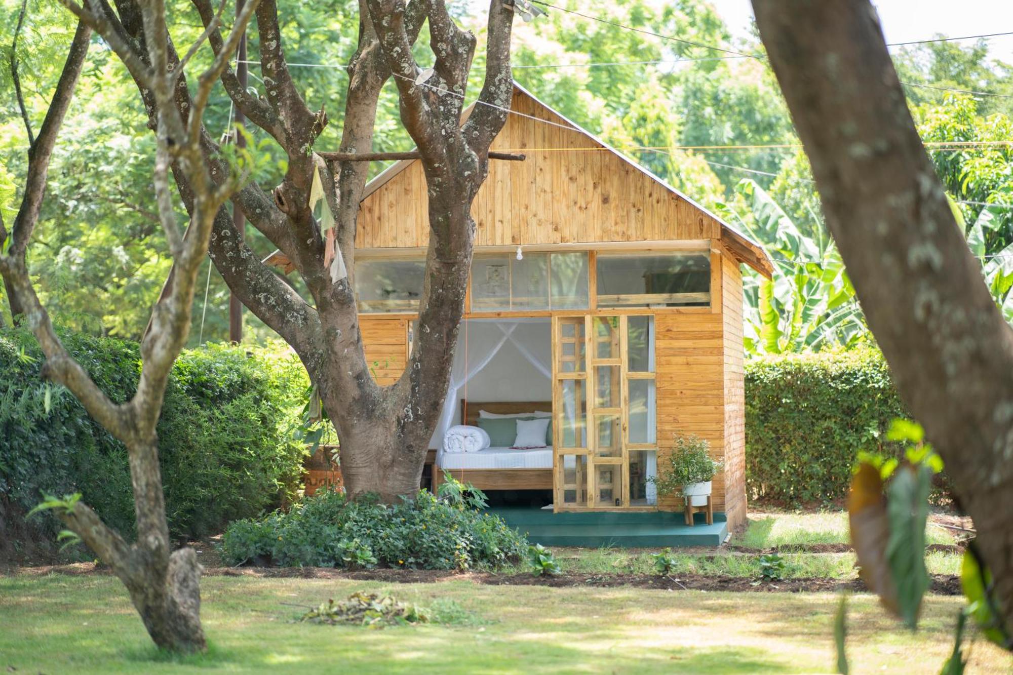 Mkoani Homestay Моші Екстер'єр фото